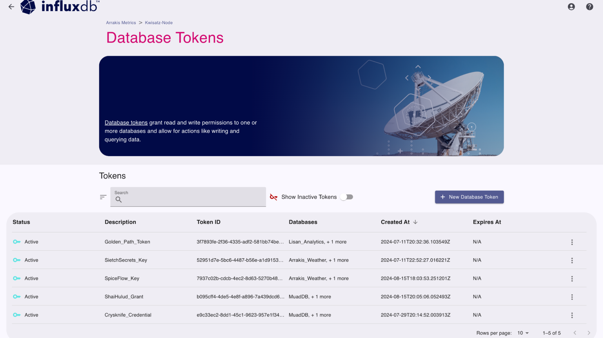 InfluxDB Cloud Dedicated Admin UI manage database tokens portal